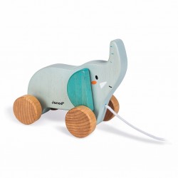 Elephant À Promener
