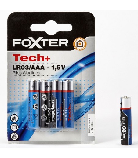 Pack de 4 Piles Foxter...