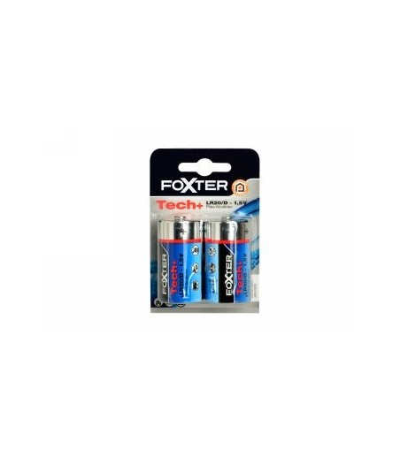 Pack de 2 Piles Foxter...