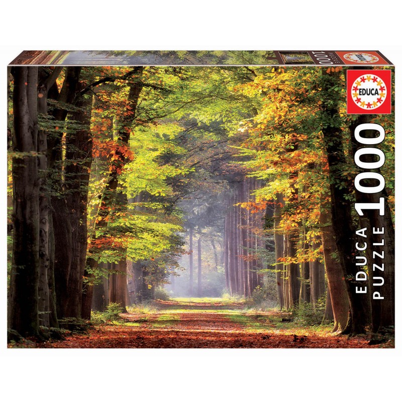 Puzzle 1000 pièces - Promenade Automnale