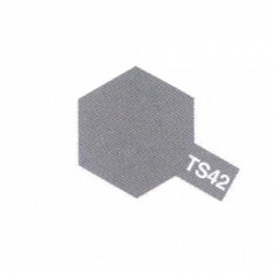 TS42 gris clair métallisé -...