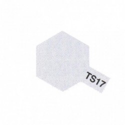 TS17 aluminium brillant -...